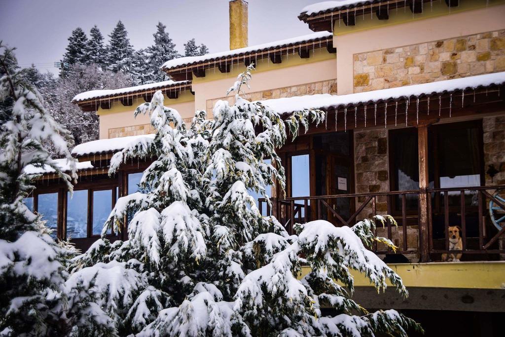 Aetoma Suites Mészi Szinikía Trikálon Kültér fotó